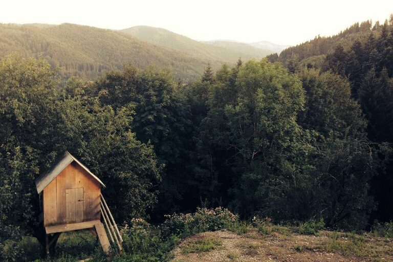 Simple Tips to Create a Sustainable and Eco-Friendly Home Environment